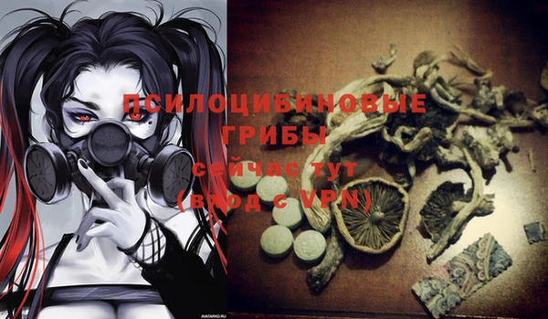 амф Бронницы