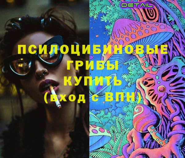 амф Бронницы