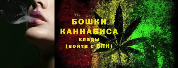 амф Бронницы