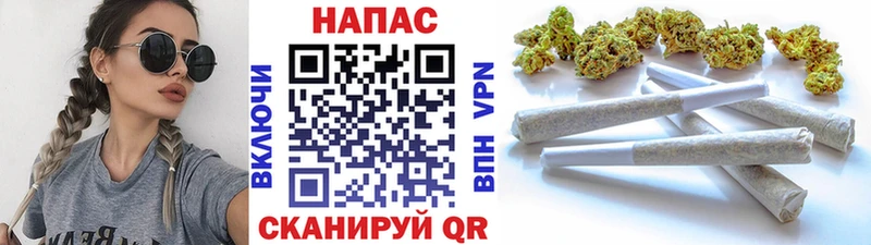 Каннабис OG Kush  даркнет сайт  Ленинградская 